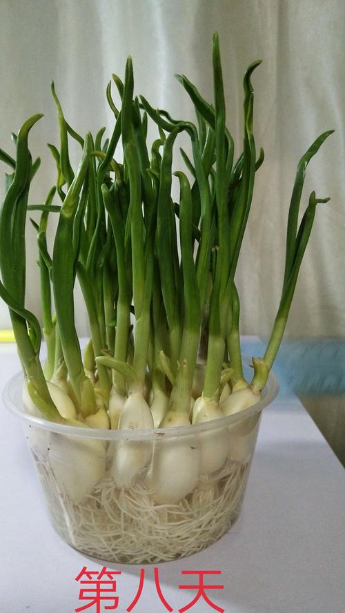 张熠煊的