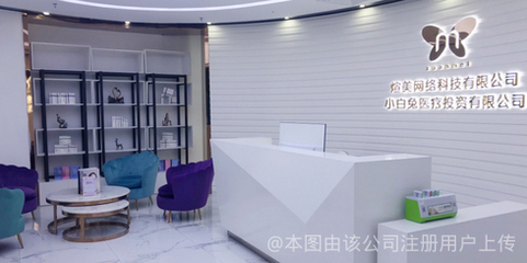 煊美网络科技与泊煊网络 品牌定位、业务协同与发展路径分析