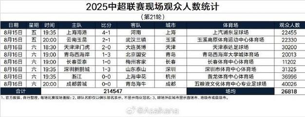 2025中甲联赛现场观众人数统计（第24轮）