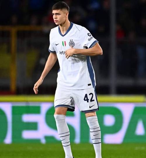 A-斯坦科维奇：很高兴回到意大利踢欧冠，转会前父亲没有给我建议