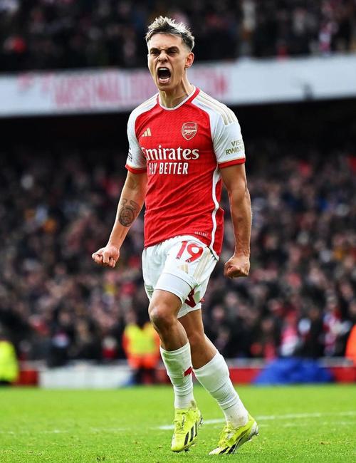 特罗萨德：萨利巴已是世界最佳中卫之一，他几乎拥有所有素质