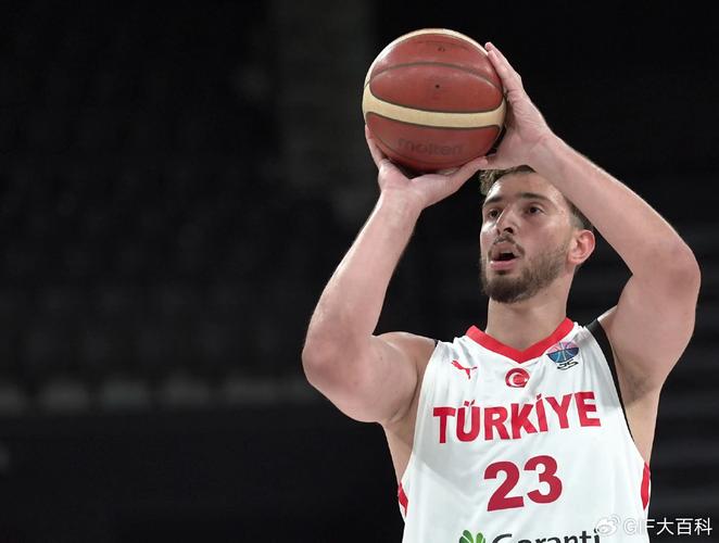 硬怼！申京强硬杀入篮下 侧身勾手秀个手活儿